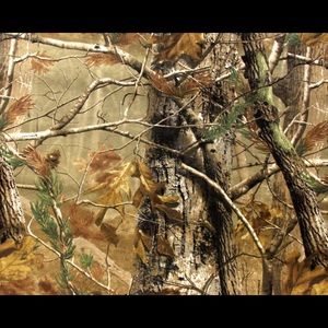 Meet your Posher, Roger